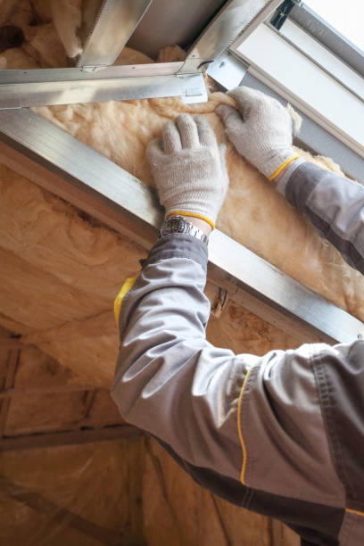 Best Attic Insulation Installation  in Adrian, MO