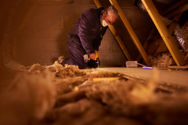 Best Attic Insulation Installation  in Adrian, MO